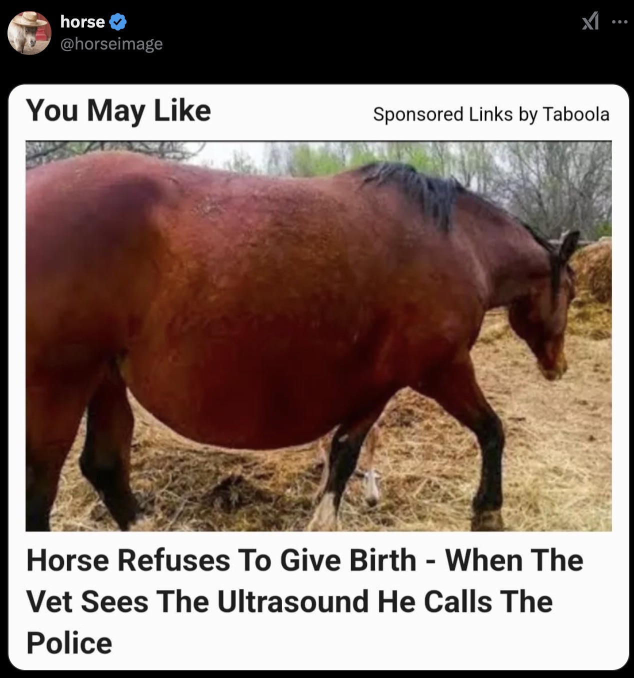 trojan horse meme - horse You May Sponsored Links by Taboola Horse Refuses To Give Birth When The Vet Sees The Ultrasound He Calls The Police